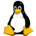 Linux - einsteigen, probieren, installieren