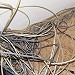 Linux - Internet,  Netzwerke, Kommunikation