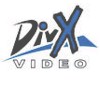 DivX und MPEG4 für Insider
