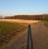 Visitenkarten Bild