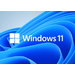 Windows Update will immer nicht erwünschtes Update von XP laden.