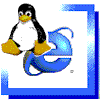 Linux als Proxy-Server fÃ¼r Windows