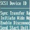 SCSI - Installation und Troubleshooting