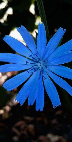 Rost und Perspektivwechsel - wohin der Fokus geht...