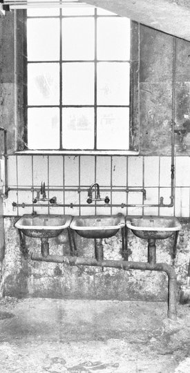 Rost und Perspektivwechsel - wohin der Fokus geht...