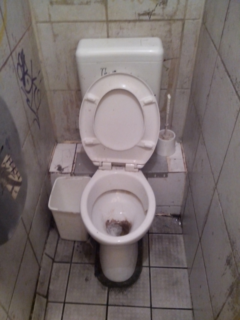 11 Prozent der durch Flüssigkeit beschädigten Smartphones wurde in eine Toilette fallen gelassen. Hoffentlich nicht eine wie die hier. (Foto: mn)