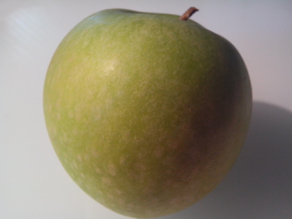 Echter Apfel. Mit eher lausiger Smartphone-Kamera fotografiert, kein Blitz, keinerlei Bemühung um irgendeine nennenswerte Ausleuchtung. (Foto: mn)