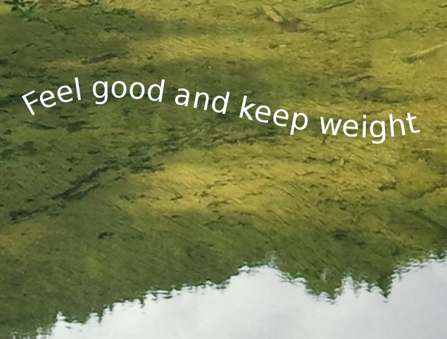 (Foto: Keepweight.de)