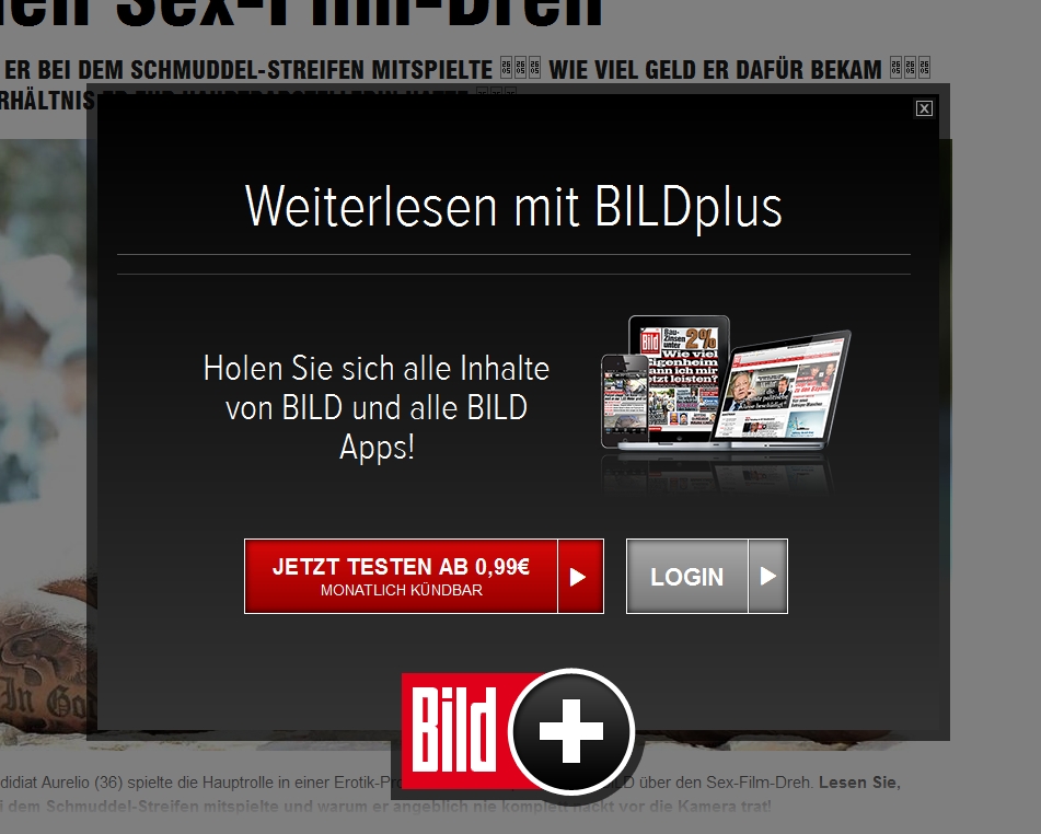 Bezahlschranke bei Bild.de.