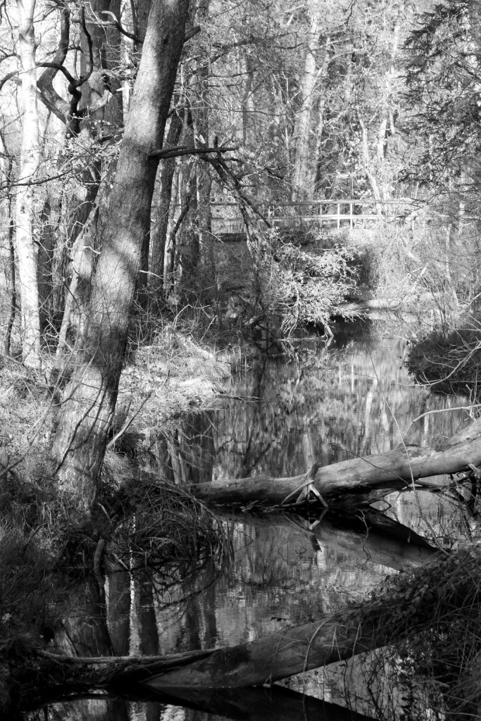 Moor_SW_2
